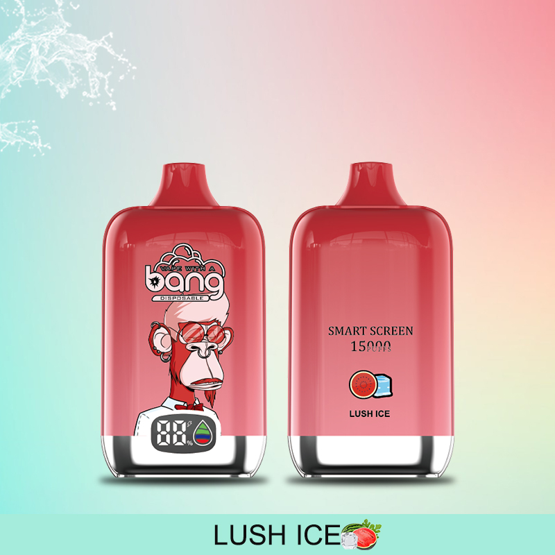 Factory Hot Sell Bang Disposable Vape Original Randm Tornado Digital Smart Screen 15000Puffs 25ml 