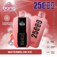 Original Factory Distributors White Label Disposable Vape 25000 Puffs Bang Vape