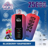 Original Factory Distributors White Label Disposable Vape 25000 Puffs Bang Vape